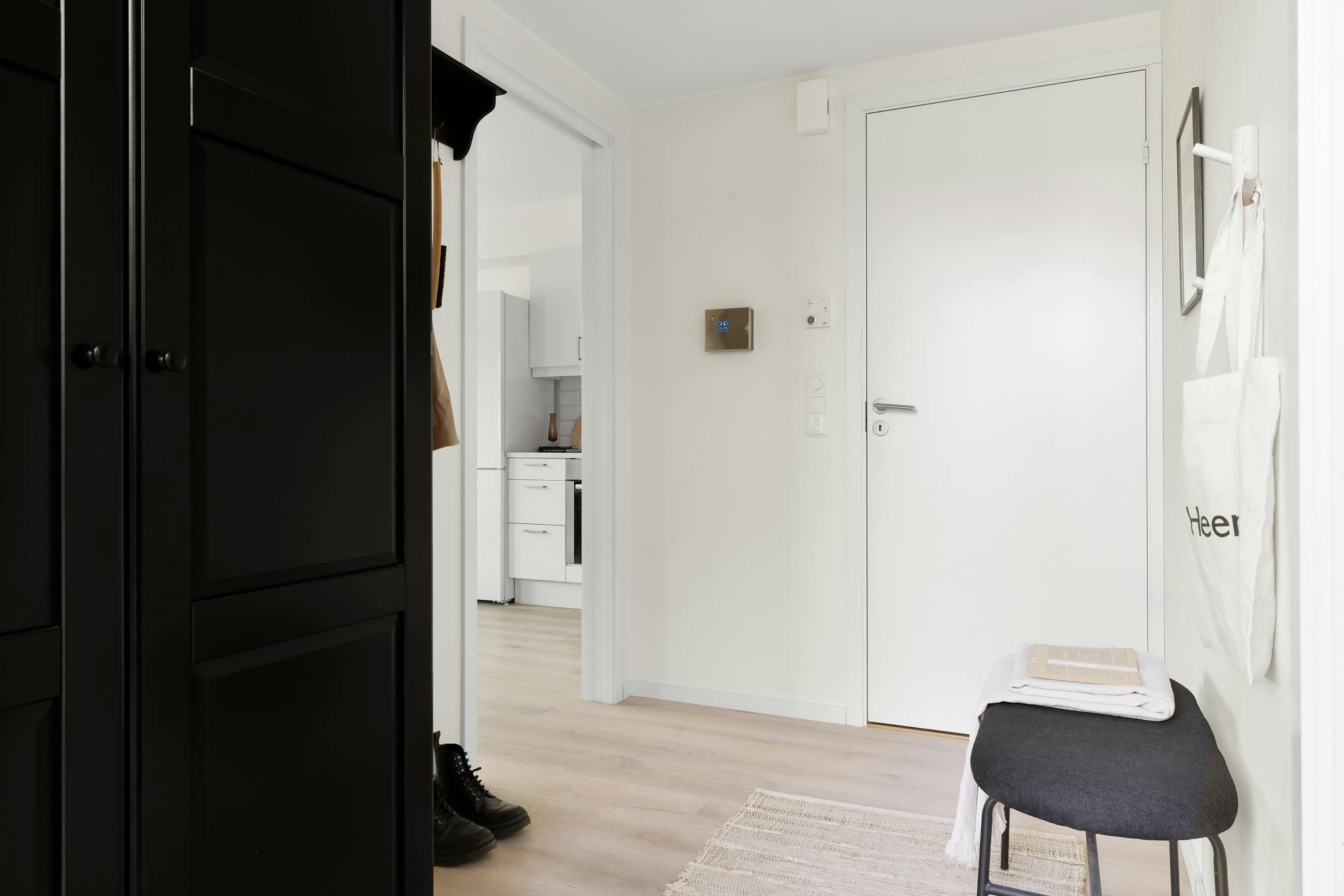Explore the sleek minimalist design of a modern apartment hallway with elegant furnishings.